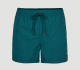 Maillot de bain Homme O'Neill good day shorts blue coral